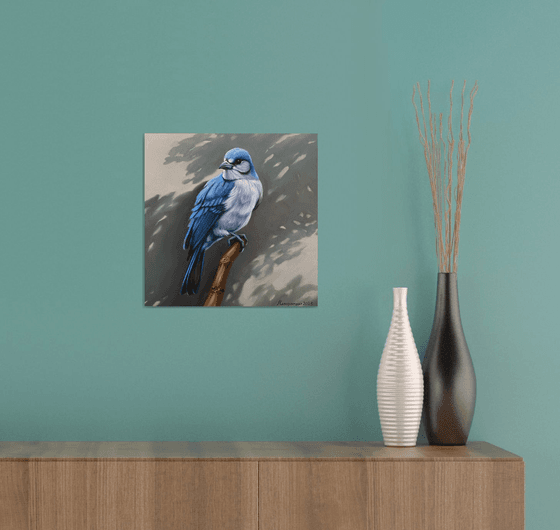 Blue Jay’s Vigil