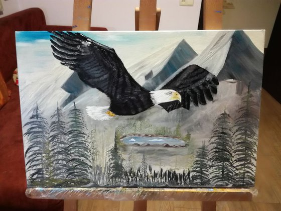 Oil Painting, Gift idea,  Original, wall  Art On Canvas, The eagle with man's eyes