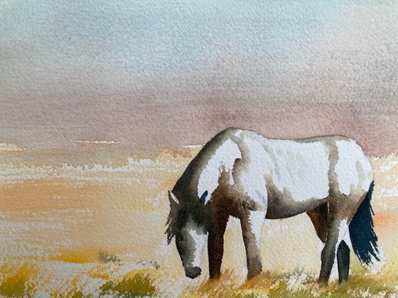 Lonely Pony