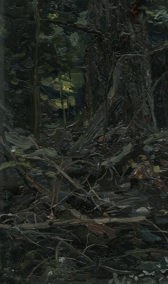 Forest. Fir-tree. Karmanovo