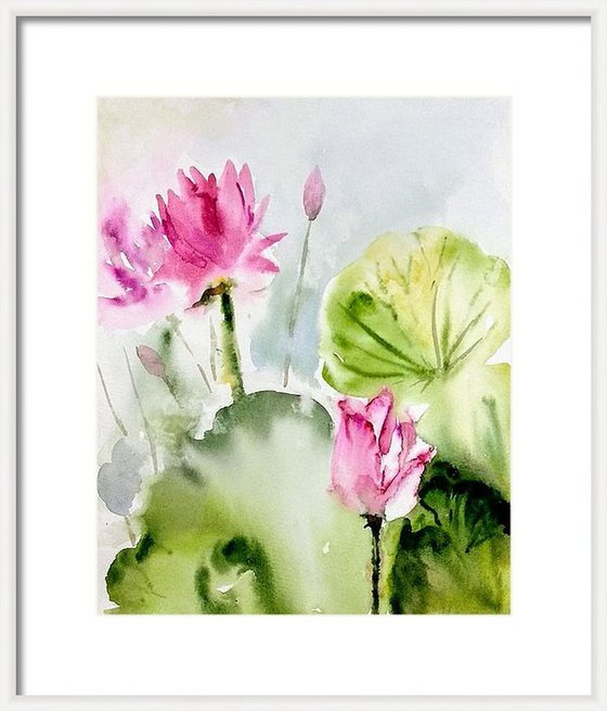 Waterlilies Lotus Painting Limited Edition Print