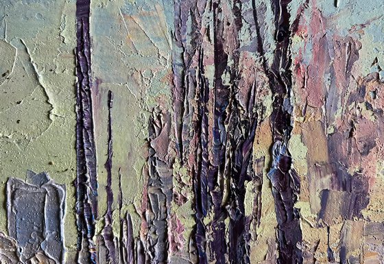 After the Night Snowstorm