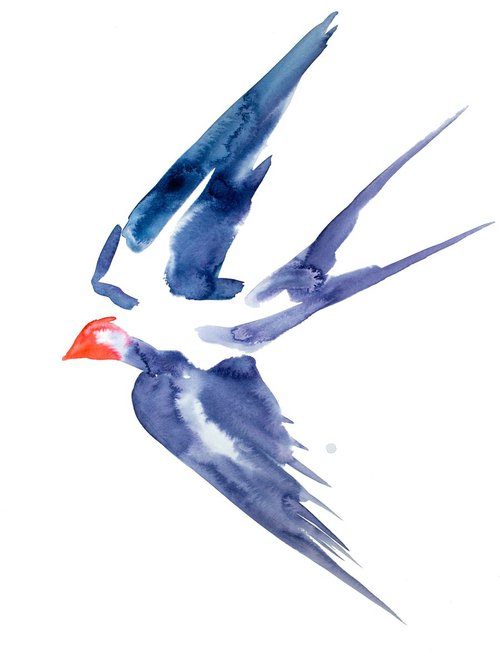 Swallow No. 8 by Elizabeth Becker