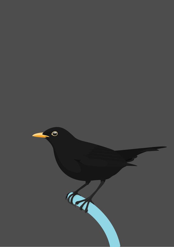 Solitary Blackbird