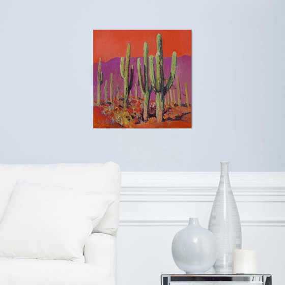 Saguaro Catuses