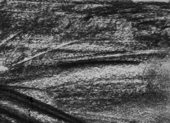 River Flow Patterns (Flood)