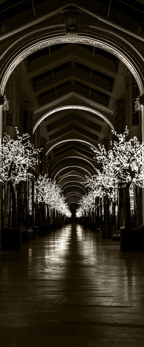 Burlington Arcade by JGC Braticius