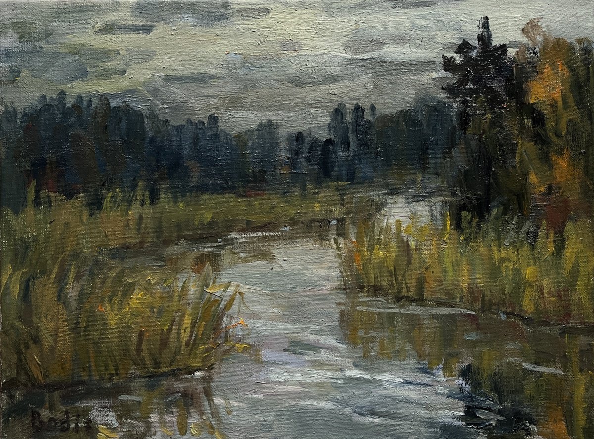 Impressionistic Landscape Oil Painting By Bohdan Dobrivskyi, 16 X 12, River, Original Artwork