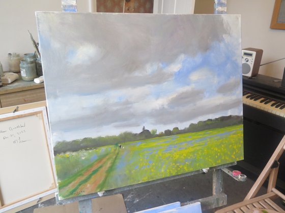 Water Meadow, May 23