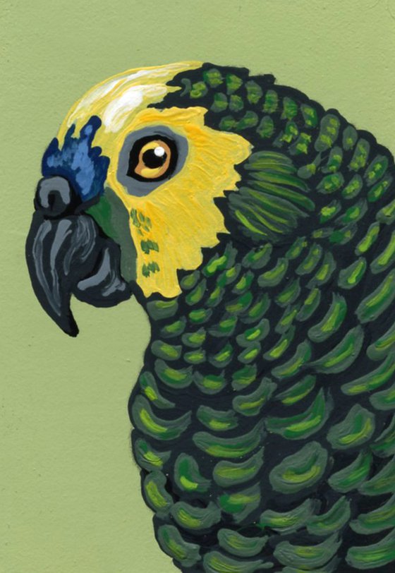 ACEO ATC Original Miniature Painting Green Blue Front Amazon Parrot Pet Bird Art-Carla Smale