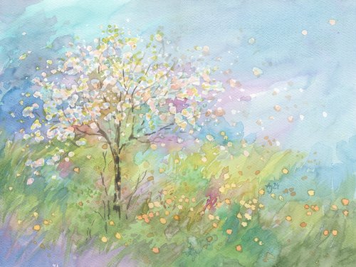 Cherry orchard by Jolanta Czarnecka
