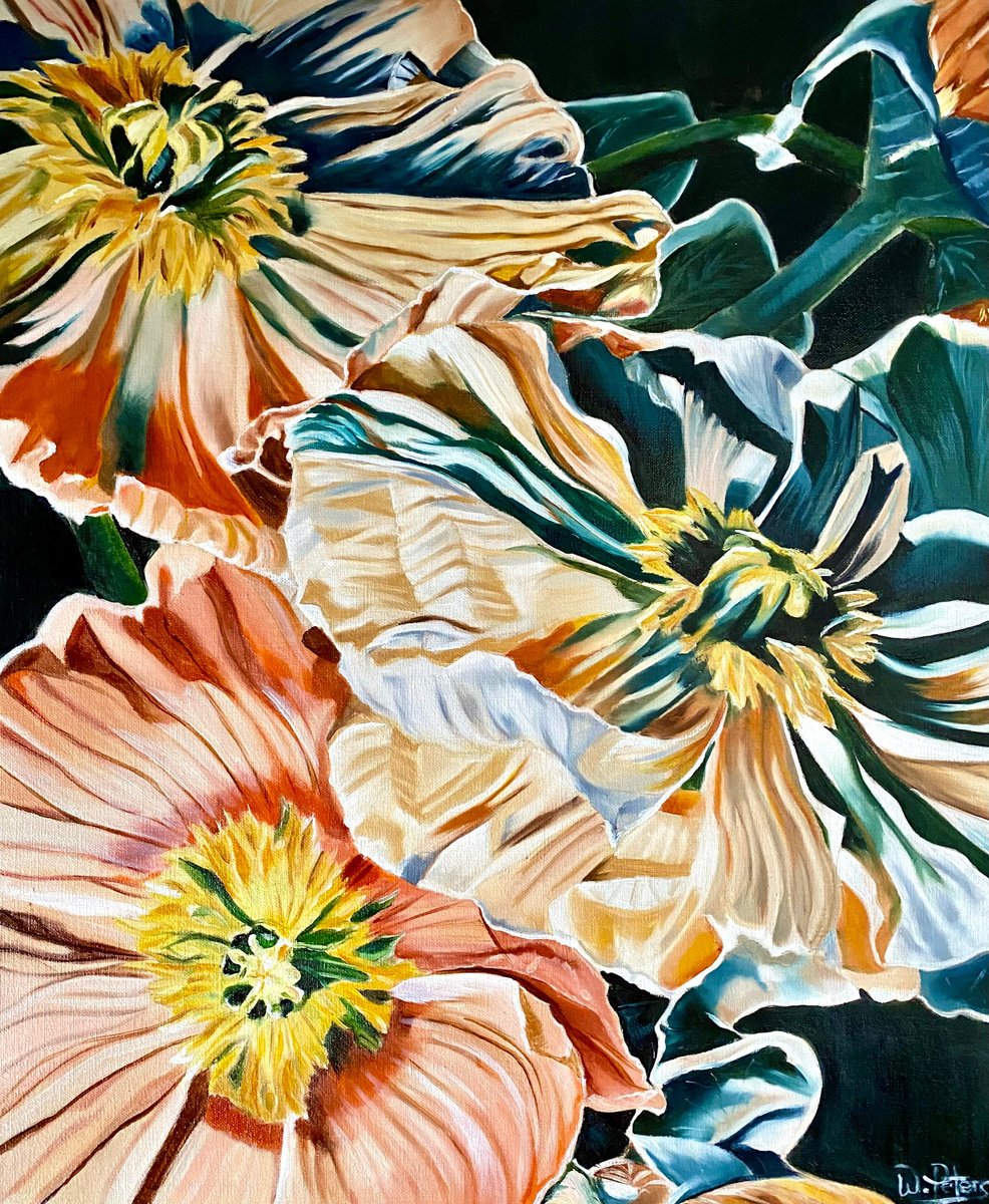 Organic Botanical Oil Painting By Wendy Peters, 20 X 24", Peach Fuzz Poppies, Original Artwork
