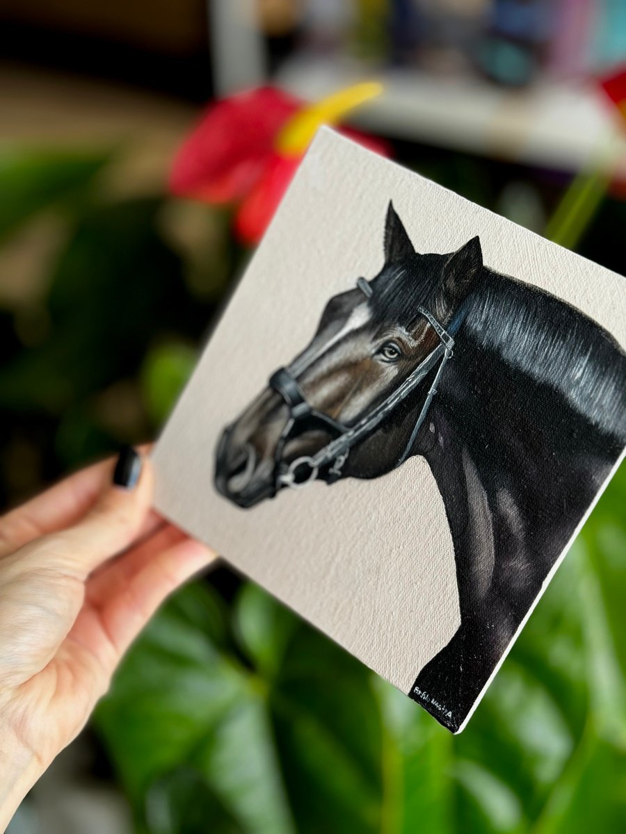 Horse Portrait 11 by Anastasia Parfilo