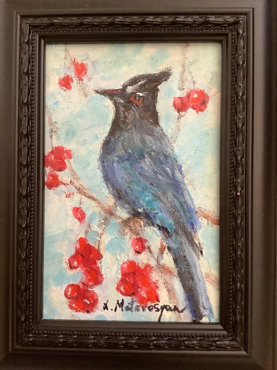 Blue Jay