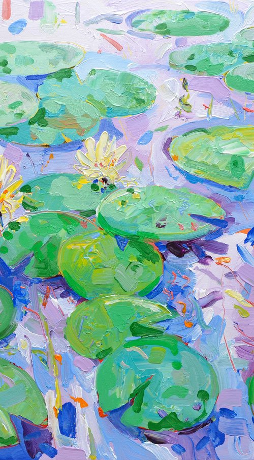 Tasman Lily Pond 22 by Joseph Villanueva