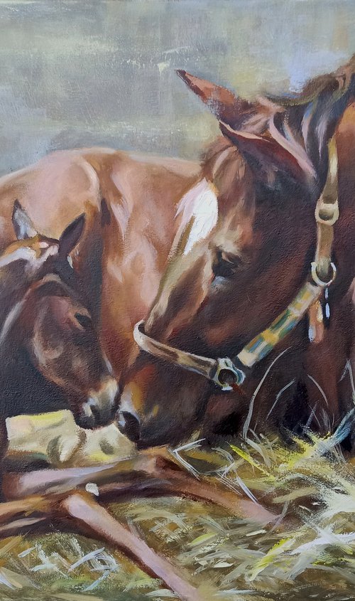 colt by Magdalena Palega