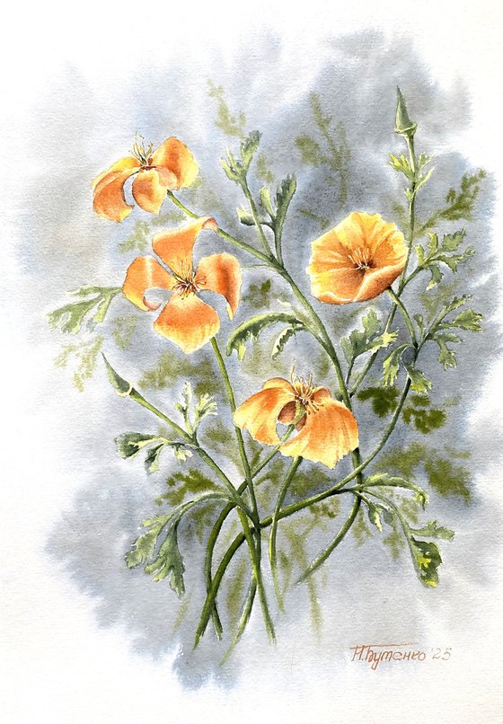 California poppies in vintage style, flowers