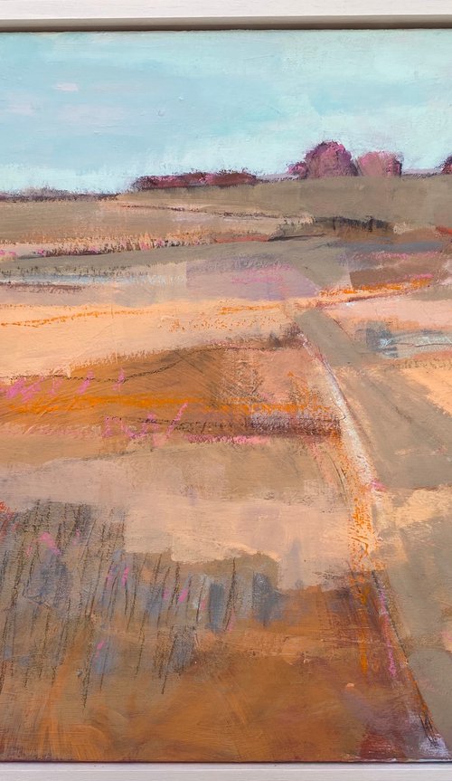 Harvest Field by Chrissie Havers