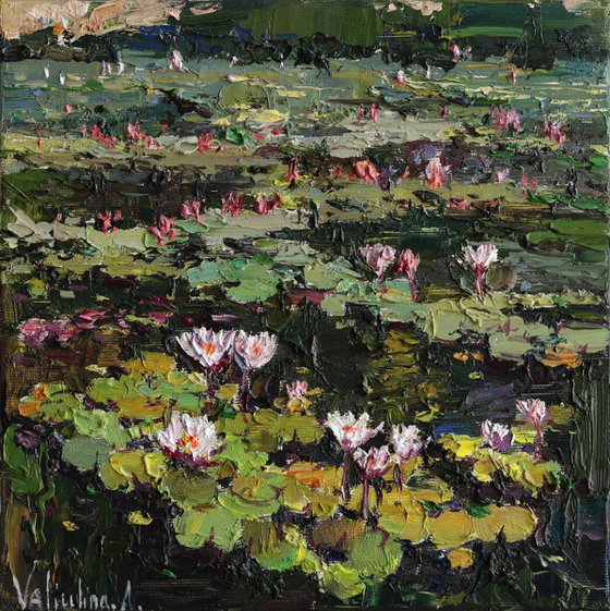 Blooming Water Lilies