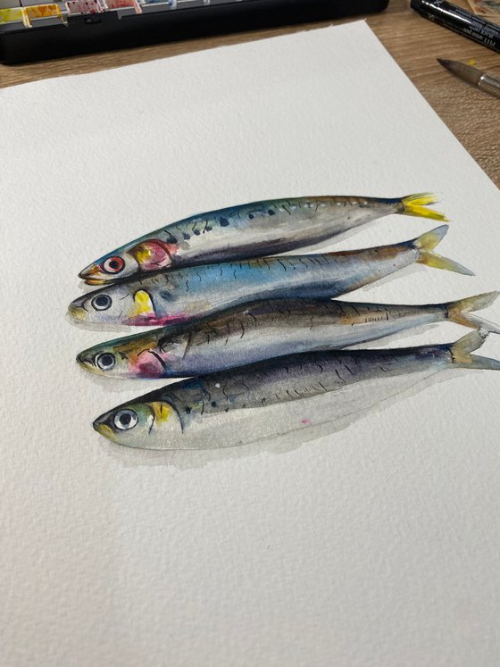 Sardines.. watercolour painting