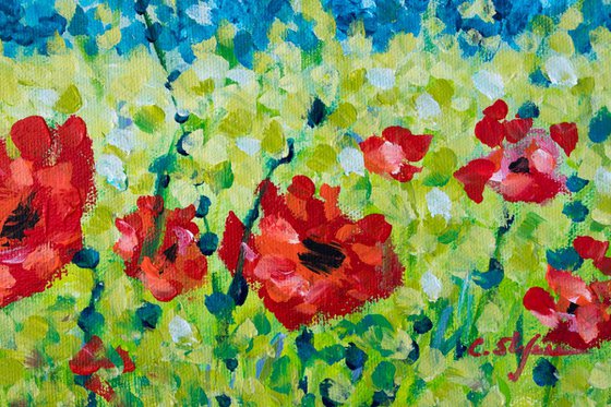 Red Poppies #001