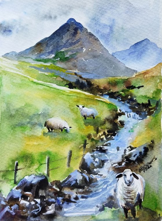 Scottish landscape with sheep