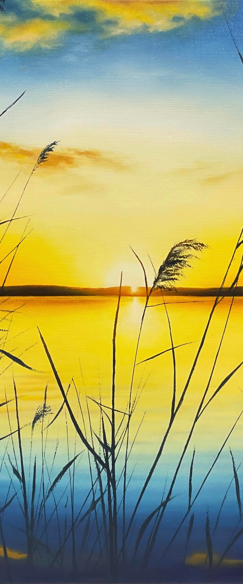 First Light by Alla Kallass