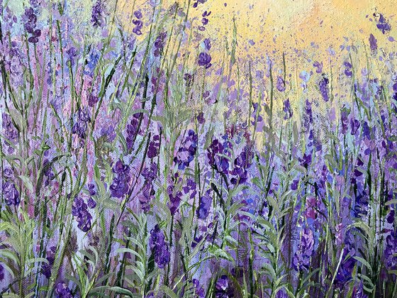 Lavender Morning