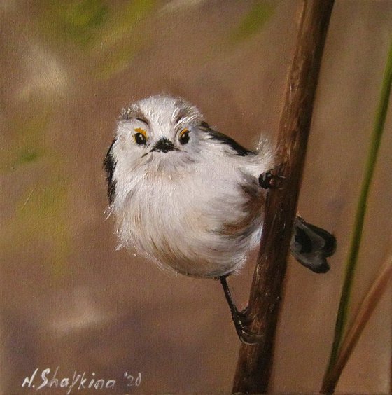 Fluffy Bird Painting