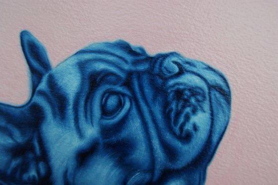 Blue Frenchie study on paper