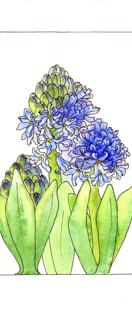 Hyacinth flowers mixed media illustration by Olga Ivanova