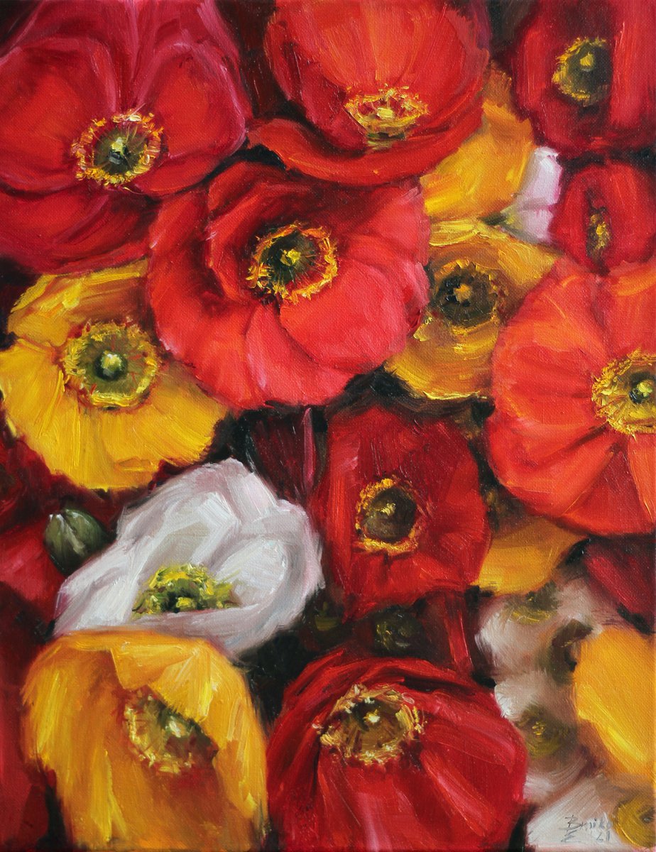 iceland Poppy by Catherine Braiko