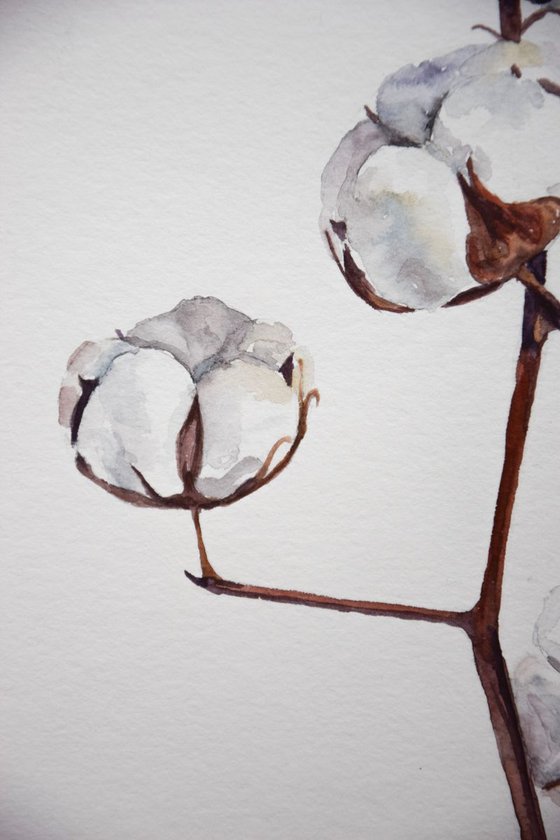 Set of 2 COTTON bolls watercolor paintings, Flowers abstract, Shabby Chic wall art