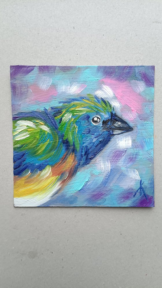 Bird - oil painting, face, animal, birds, gift idea, small size, postcard size, postcards, hummingbird