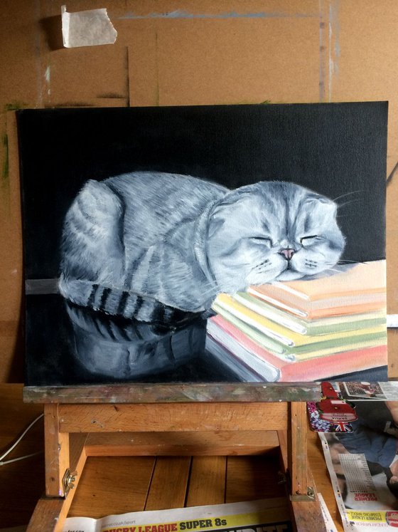 Sweet dream. Cat portrait