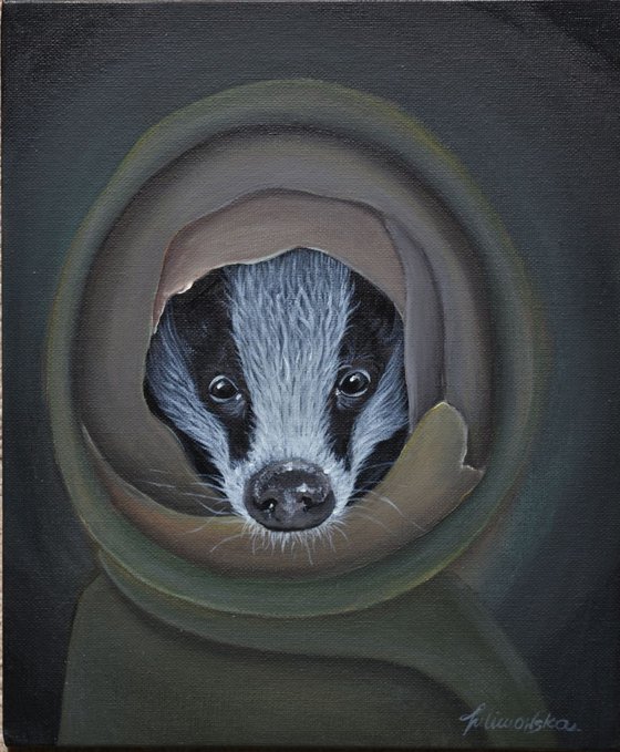 Mr. Badger in the hood