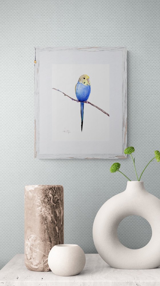 Budgie, blue Parakeet painting