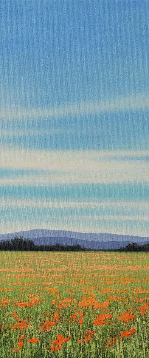 Flowers of Summer - Blue Sky Landscape by Suzanne Vaughan