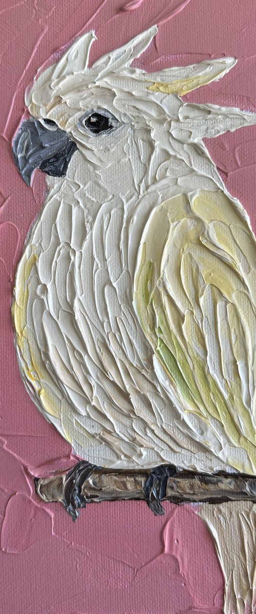 Cockatoo by Guzaliya Xavier