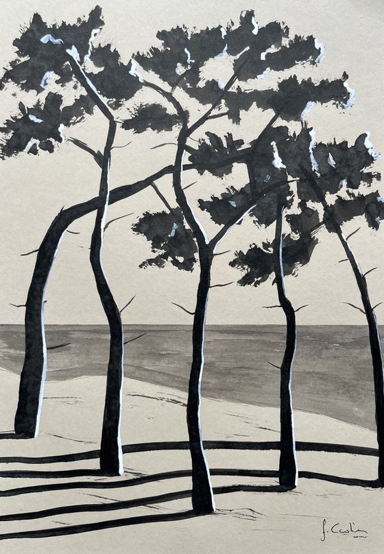 Pinetrees