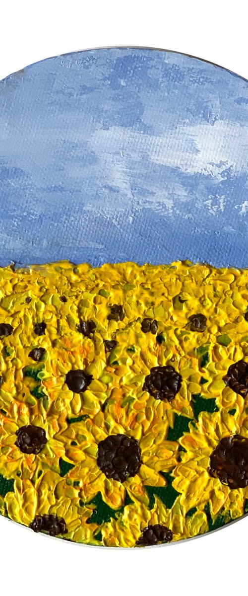 Mini Sunflower field! by Amita Dand