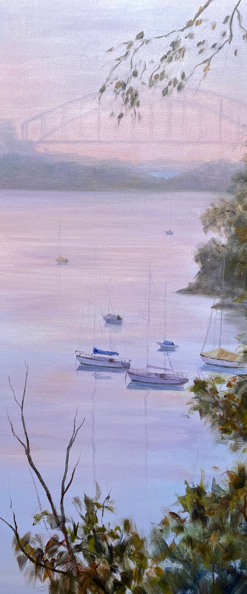 Sydney harbour morning by Shelly Du