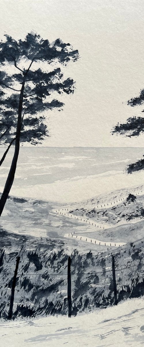 Coastal path by Cadiou Frederic