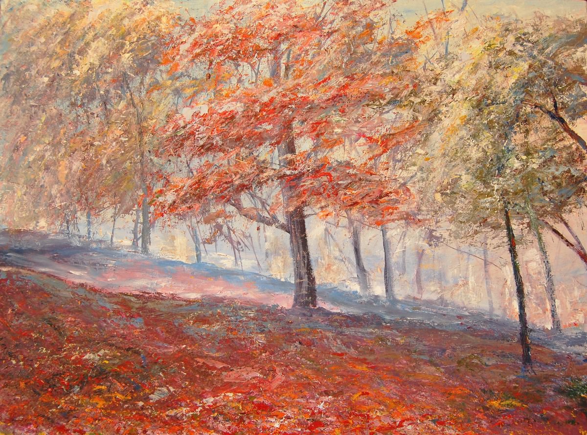 Autumn colors by Mikhail  Nikitsenka