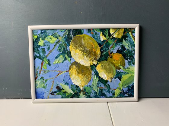 Lemon garden.