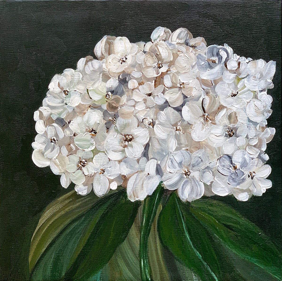 Moment of beauty, hydrangea by Marina Skromova