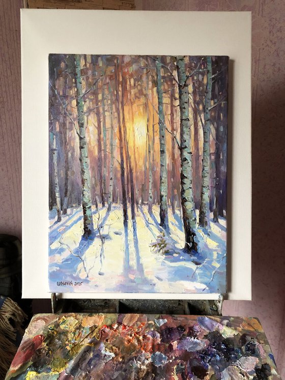 Winter forest. Birches