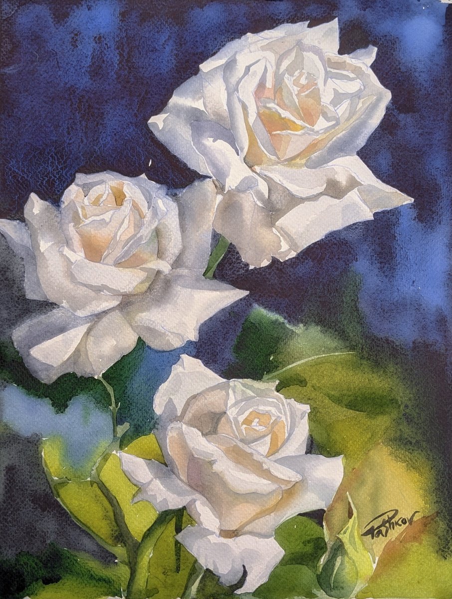 Impressionistic Botanical Watercolour By Yurii Pashkov, 11 X 15", White Roses#3, Original Artwork