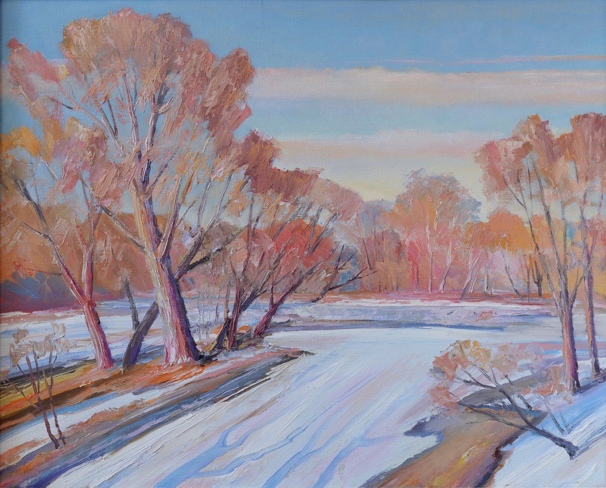 Winter colors by Vyacheslav Onyshchenko