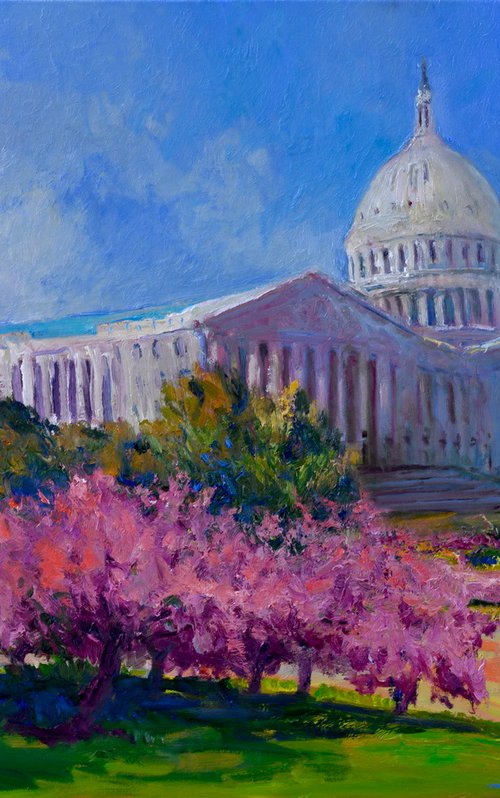 Spring. US Capitol Building by Suren Nersisyan